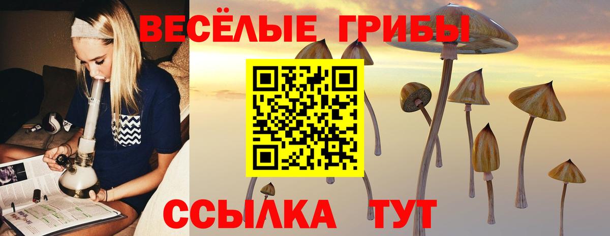 Галлюциногенные грибы прущие грибы Белово